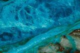 Polished Banded Chrysocolla Slice - Bagdad Mine, Arizona #378929-1
